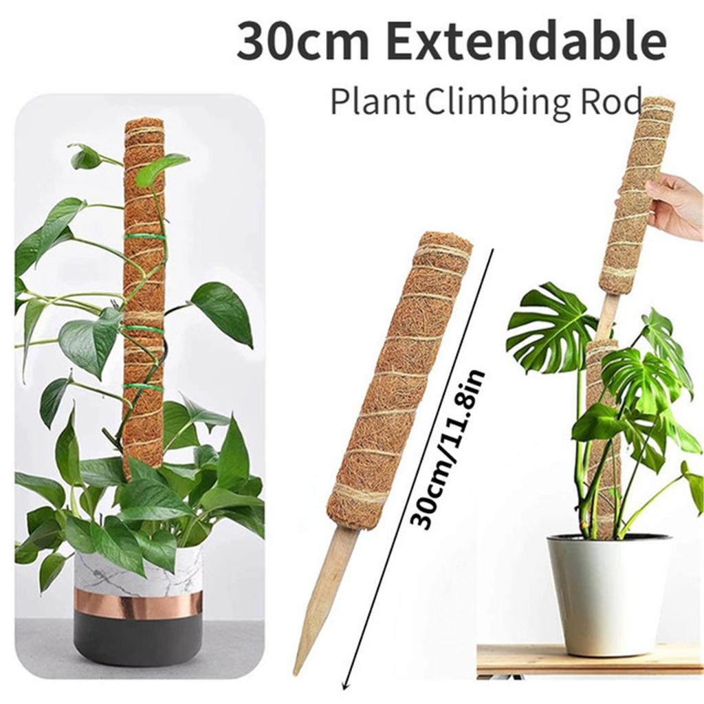 2Pcs Foam Stick, Coconut Foam Stick, Used for Climbing Plants, Reusable Telescopic Support, Used for Flowering Plants 30cm