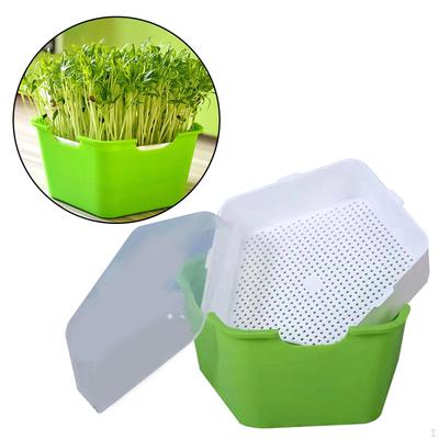 Seed Sprouter Kit for Home Gardening