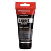 Acrylic Paint - TALENS - AMSTERDAM EXPERT - 75ml - Raw Umber - Series 2