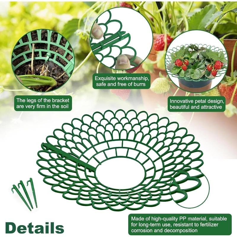 1/5/10/20 Stück Erdbeerpflanzenstützen mit drei stabilen Beinen bieten Schutz für Erdbeeren vor Schimmel, Fäulnis und Schmutz