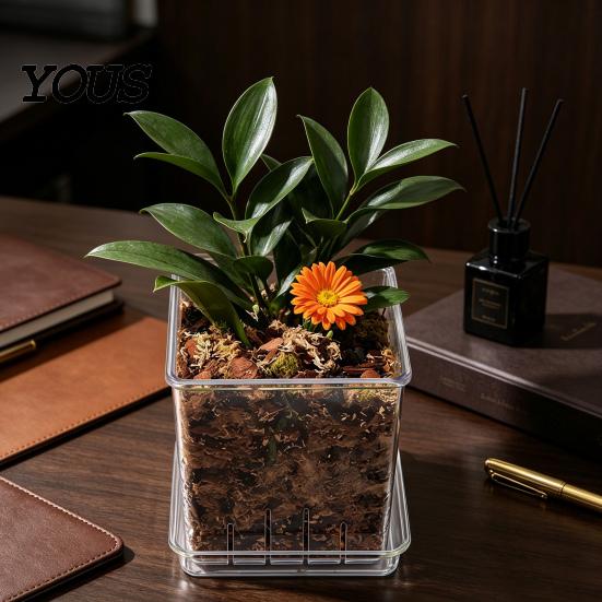 Orchid Planter for Phalaenopsis Clear with Saucer, Square Plant Pot Hydrophobic Succulents Drainage Holes, Transparent Flowerpot Phalaenopsis,