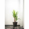 Plant Pot Garden ID Black 40 X 34 Cm