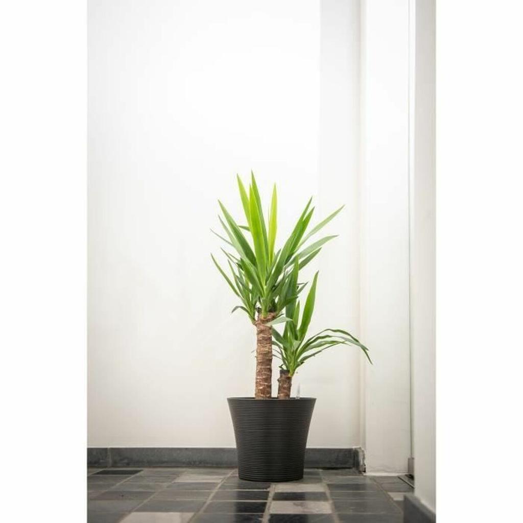 Plant Pot Garden ID Black 40 X 34 Cm