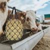 2Pcs/Set Hanging Horse Hay Bag Slow Feed Hay Feeder Bag Durable Hay Net  Equestrian Accessory