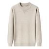 Men's Douyin Bestseller Autumn/Winter Knitwear: Trendy Round Neck Solid Color Jacquard Thick Sweater
