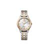 Eco-Drive Series Ripple Pattern Dial Two-Tone Steel Bracelet Solar Quartz Movement Stainless Steel Watch Women Watches EM0506-77A