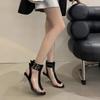 Fashion 2025 New Summer New Crystal High Heel Clear Boots Fish Mouth Cold Boots Sexy Women Sandals