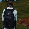 Alpinus Fatra 30 Backpack Black Po35496