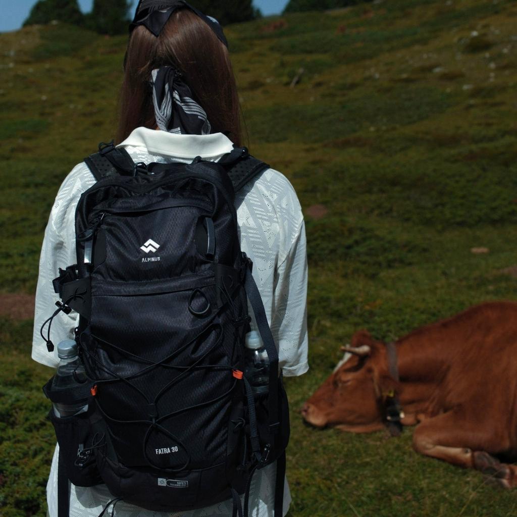 Alpinus Fatra 30 Backpack Black Po35496