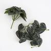 Artificial Amphibian Plants Terrarium Leaves Habitat Decor for Iguana for Turtle