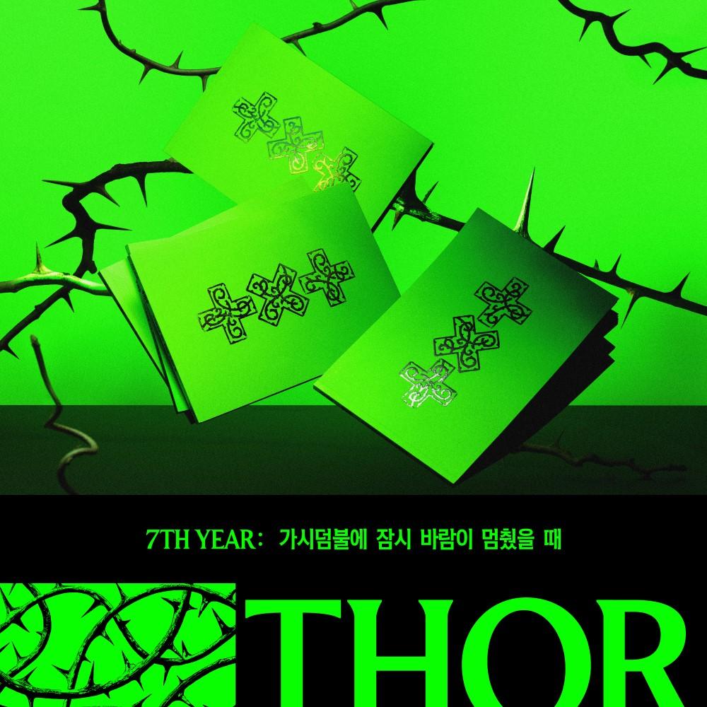 TXT [7TH YEAR : A Moment of Stillness In the Thorn] THORN