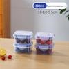 ZISIZ Small Food Storage Container