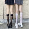 JK Woman Socks Cute Black White Lolita Long Socks Summer Thin Knee High Socks Fashion Cosplay Sexy Nylon Transparent Stockings