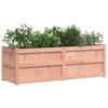 Planter Box 150x50x50 Cm Solid Wood Douglas Fir