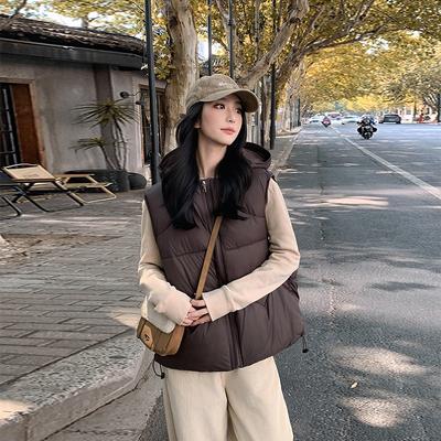 Autumn and Winter New Cotton-padded Vest Women's Small Hooded Loose Short Puff Vest Batch