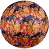 Winx Club Theme Size 5 Soccer Ball, Suitable for Both Indoor and Outdoor Matches, a Gift Suitable for Everyone.
