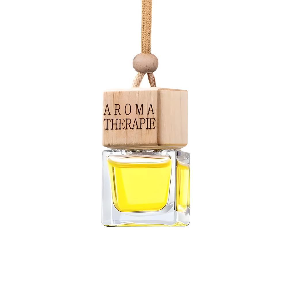 Auto Aromatherapy Fragrance Pendent Bottle Perfume Diffuser Automotive Decoration Car Hanging Glass Bottle Empty Perfume