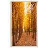Camere și optică – Rame foto digitale