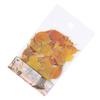 Leaf Scrapbook Stickers Decorative PET Fall Leaves Scrapbooking Decals for Journaling Photo Album 40pcs