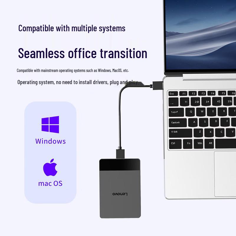 Lenovo F308K 1TB Portable External Hard Drive