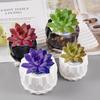 Round Gypsum Silicone Mold DIY Succulents Concrete Flower Pot Vase Plaster Cement Molds Clay Candle Holder Mould Decor