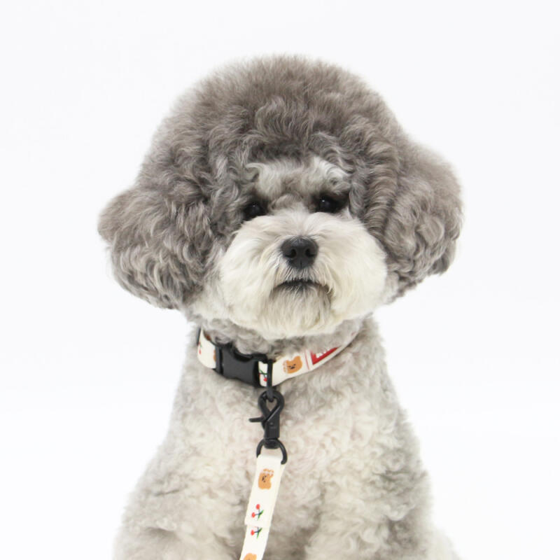 [Earp EarpXKINIKINI]DOT CHERRY BEAR COLLAR-IVORY