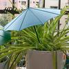 Liten Utendørs Parasoll 10 Tommer Diameter Plante Paraply UV Beskyttelse Skygge Mini
