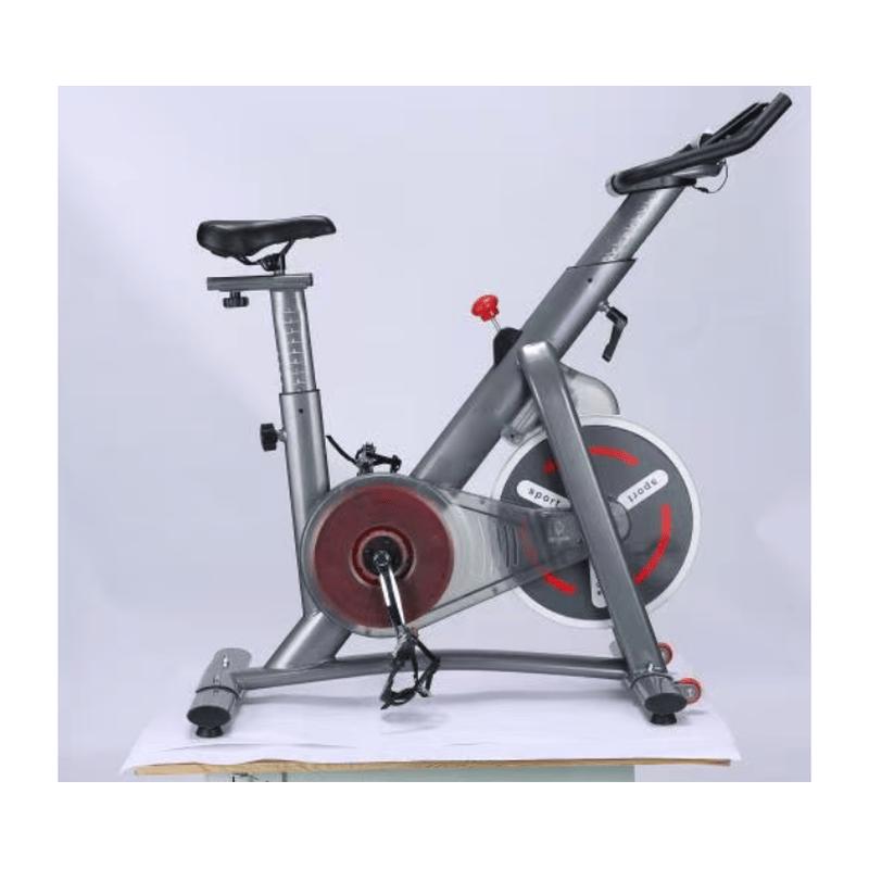 Hengtao Dynamic Exercise Bike