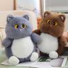 Adorable Kitten Plush Toy - Girly Heart Doll for Hugging and Sleep Pillow