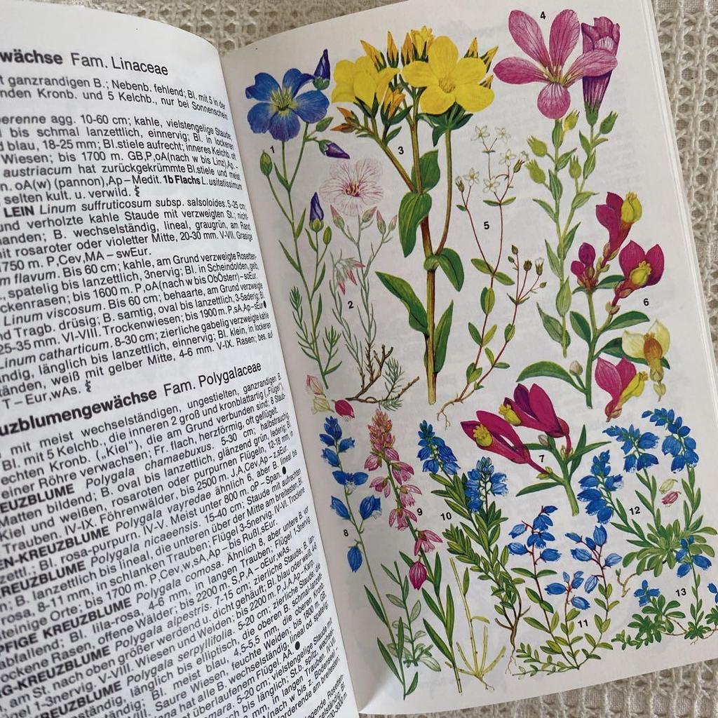 [USED] 1980, Plenty of illustrations, over 3000 items, Marjorie Blamey's Alpine Plant Encyclopedia