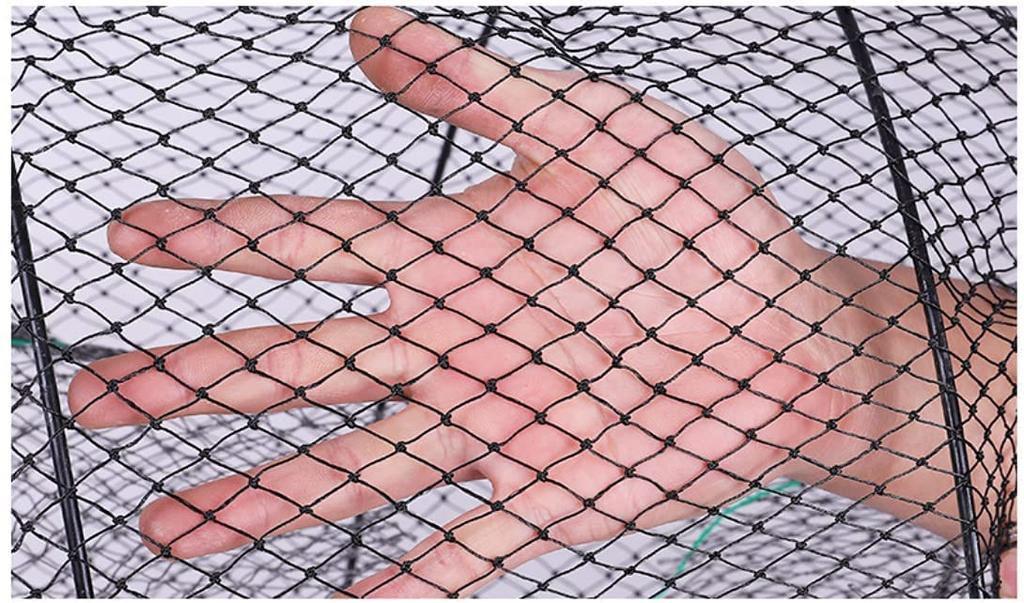 MBK Small Fish Capture Mondori X Secure Left and Right Penetration Just Add Bait and Easy Compact Perfect for and More of Cage, (25cm 47cm), Capture,