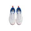 Li Ning Ace Textile, Synthetic Leather Cushioning Slip Resistant Abrasion Resistant Breathable Low Top Badminton Shoes AYTP011-3