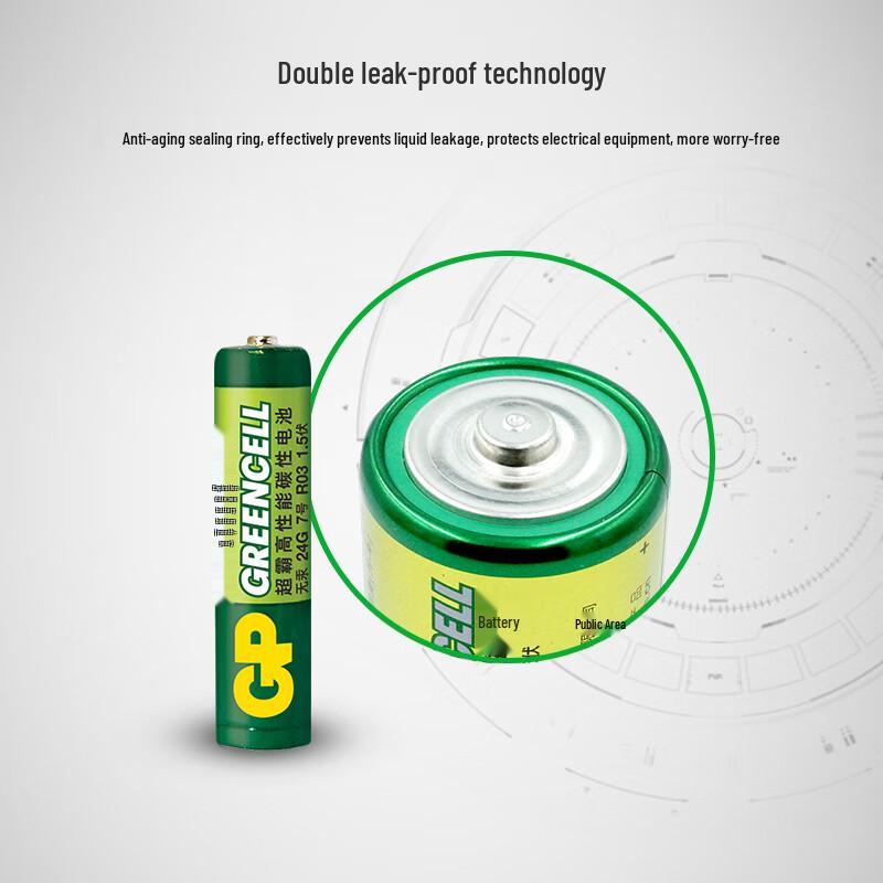 GP AAA Carbon-Zinc Batteries CN plug (adapter included)