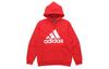 Sweatshirts Men's Red Hooded Moderate Regular FR7106