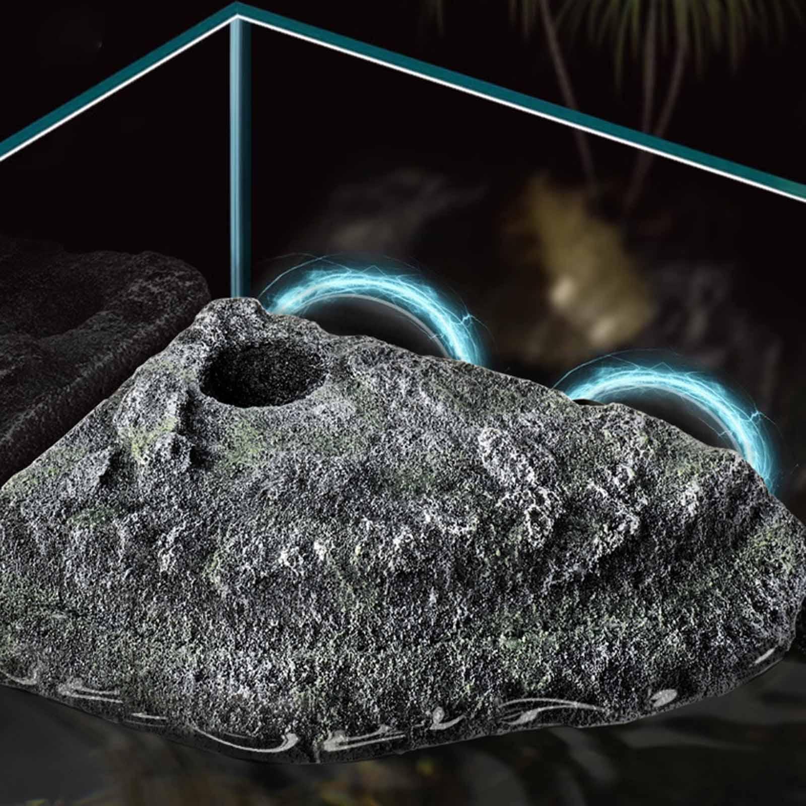 Turtle Basking Platform Resting Terrace Freshwater Salamanders Reptiles Dock