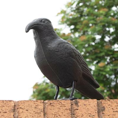 Black Life Size Crow Deterrent Crow Decoration Outdoor Scarer Pigeon  Courtyard Garden