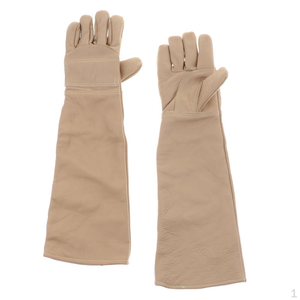 

Scratch Gloves For Handling Random S