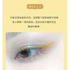 xixi - Slim Liquid Eyeliner - 4 Colors