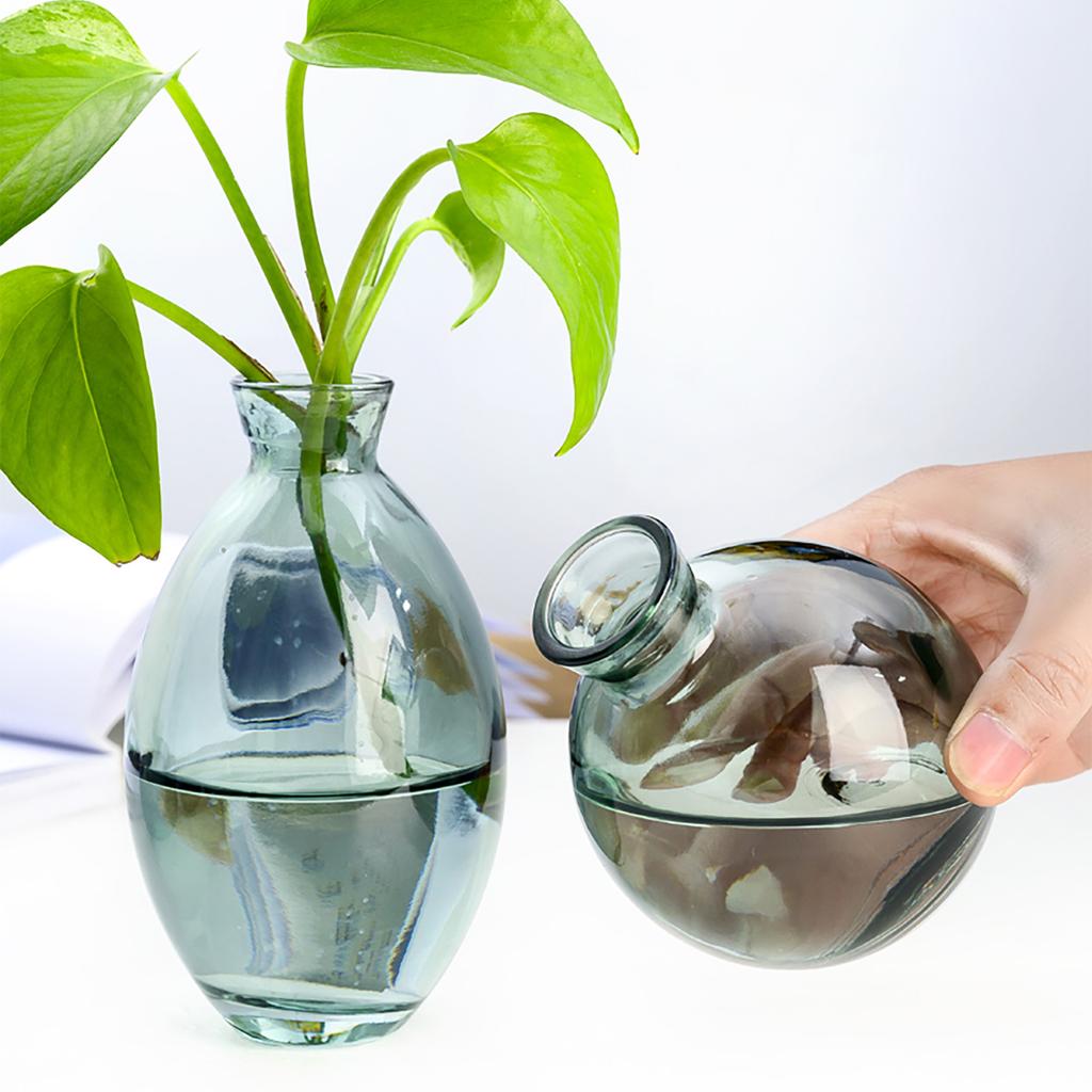 Glass Bud Vase Transparent Multifunctional Small Flower Vase for Living Room Bathroom Bedroom