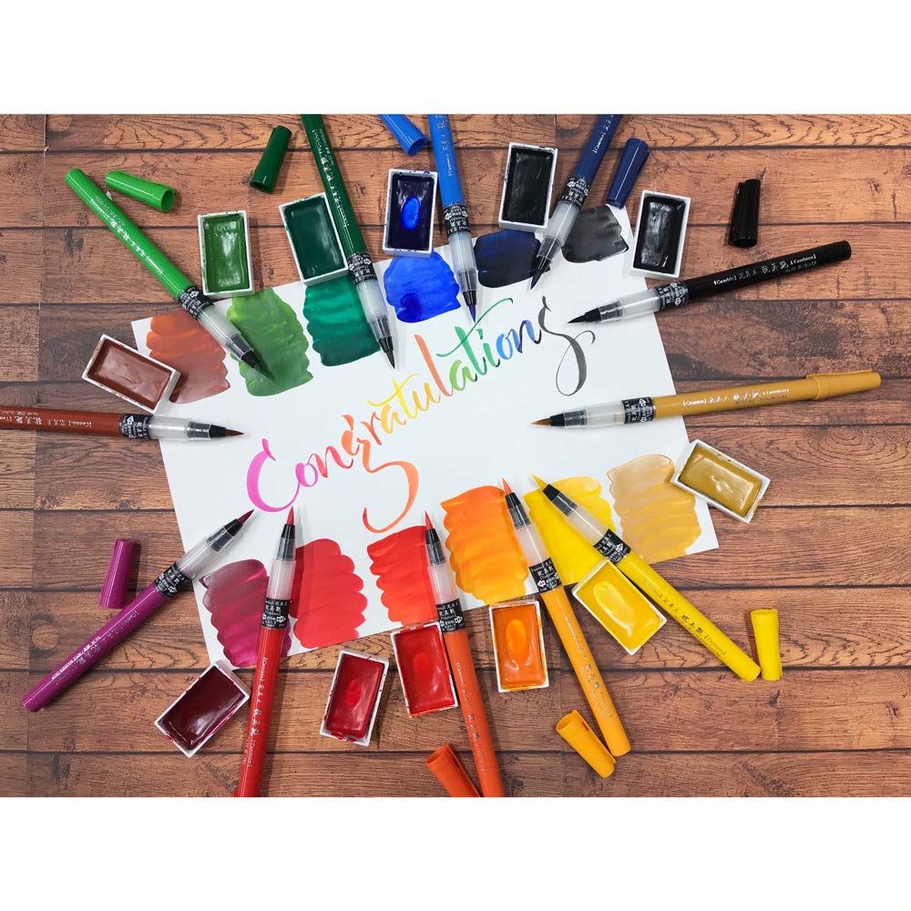 Kuretake Brush Color Brush Watercolor Perfect Pen, Pen, Brush, King, Tanbi-en, Daisho, XO50T-046S