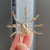 Fashion Personalized Black Pearl Spider Brooches For Women Men Metal Rhinestone Spider Animal Brooch Pins Party Jewelry Gifts