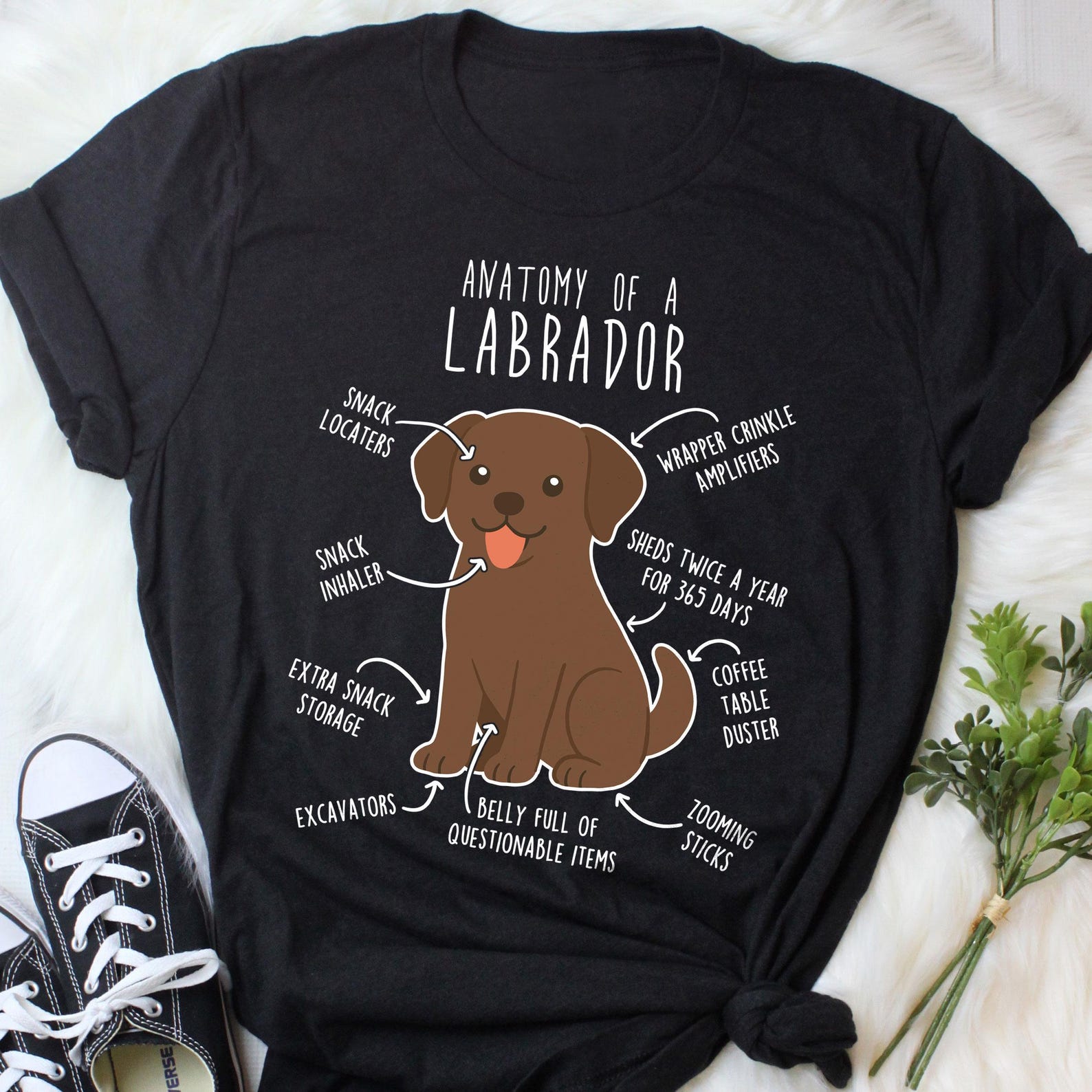 Chocolate Labrador Retriever Shirt, , , Funny Dog Lover Gift, Cute Lab Mom Dad T-shirt, Dog Tshirt, Pet Tee, Dog Anatomy Humor 140
