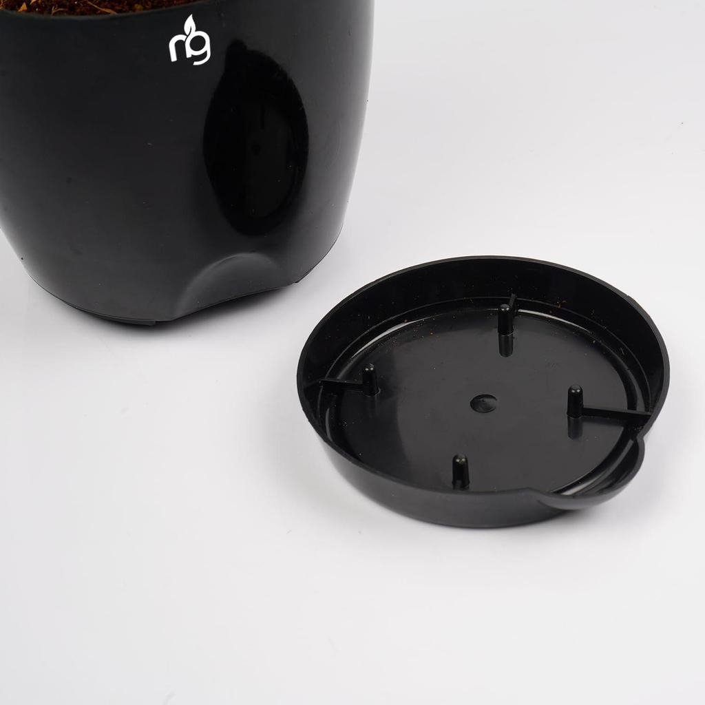 Combo of 6 Black Self Watering Plastic Pots with Glossy Finish (Size: 4.5IN * 4.33IN) | Low Maintenance Pots for Indoor, Balcony