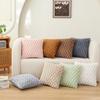 New Plush Waist Backrest Super Label Sofa Pillow with Core