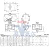 Kitazawa KITZ Stainless Steel 316 Pneumatic Three-Way Diverting Ball Valve C-UTE/C-UTNE C-1 Available