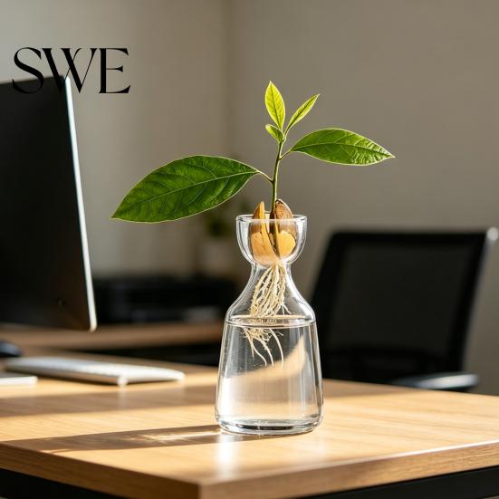 Hydroponik Pflanzenvermehrungsglas Glasvase, Klarer Künstlerischer Behälter, Avocado Zeitgenössischer Halter Vase Schreibtischdekoration Ideales Geschenk für Gärtner
