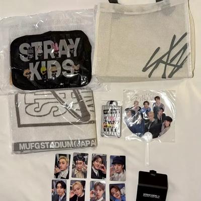 Set Upgrade Tokyo Run It Tour Stray Kids Giappone (Pagamento Immediato Disponibile)