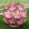Barbie Print Size 5 Soccer Ball, Standard Match Football for Sports Game and Team Practice, Ideal Gift for Soccer Fans