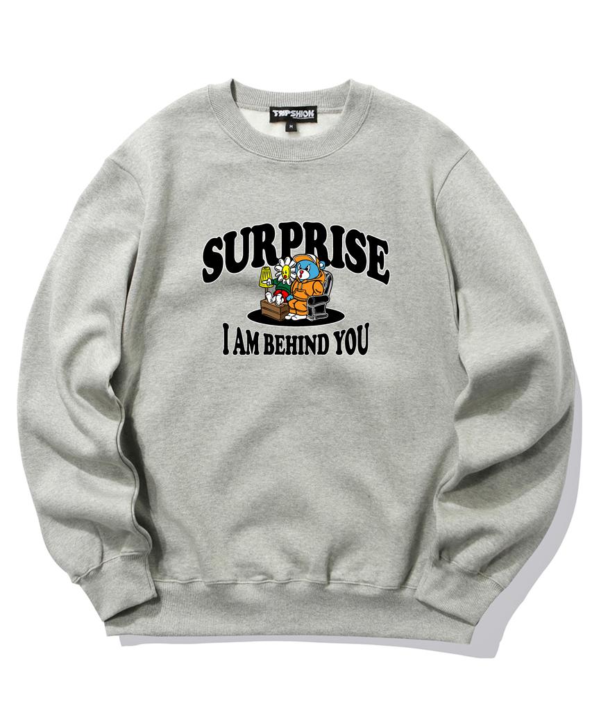 TRIPSHION Surprise Duo Graphic Crew Neck - Gray