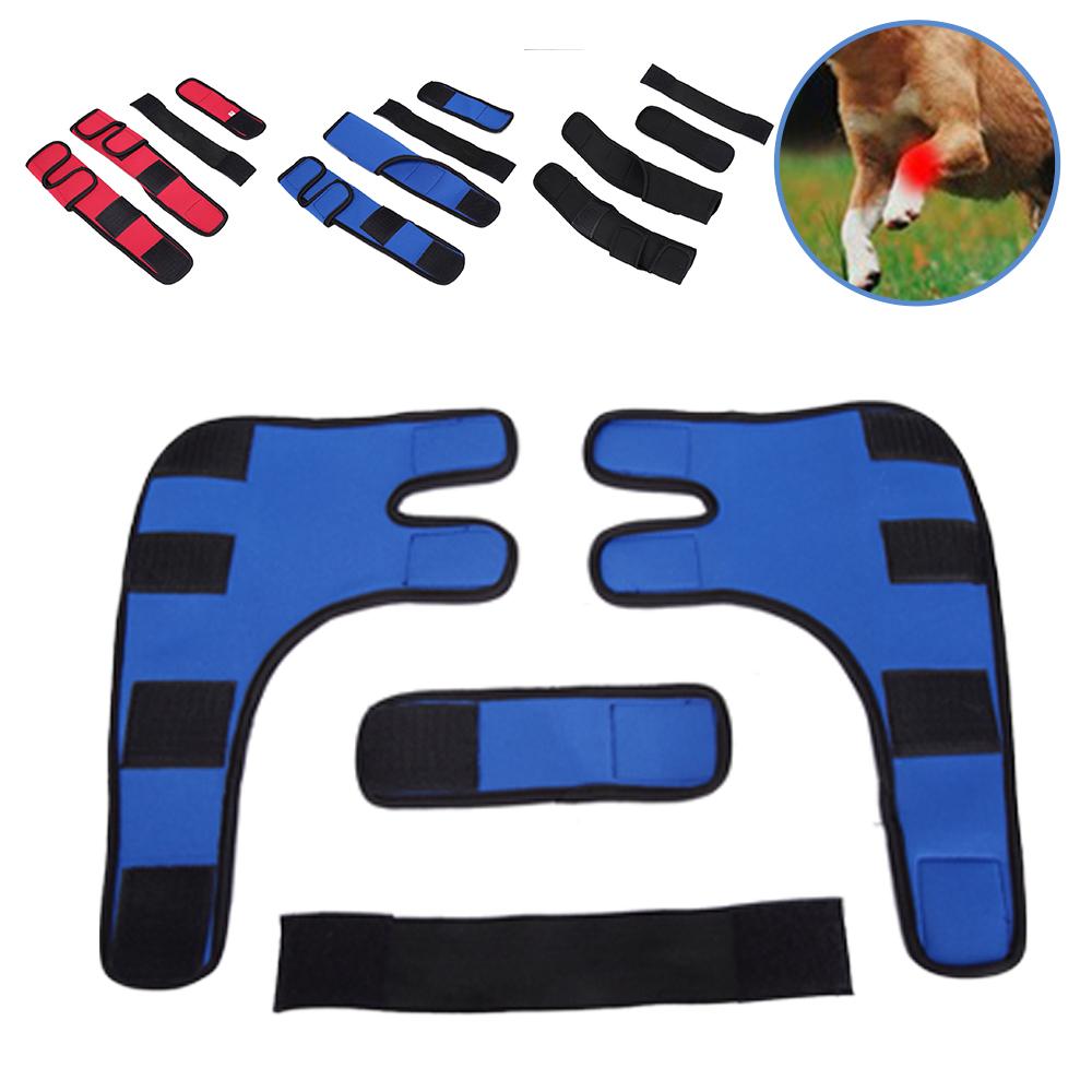 

Брекеты для домашних животных, артрит, коленный сустав, поддержка щенка, повязка на переднюю ногу